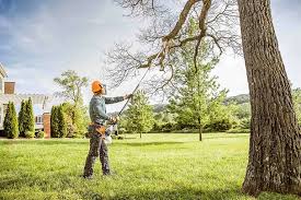Best Leaf Removal  in Crosby, TX